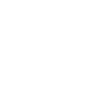 Customized Solutions